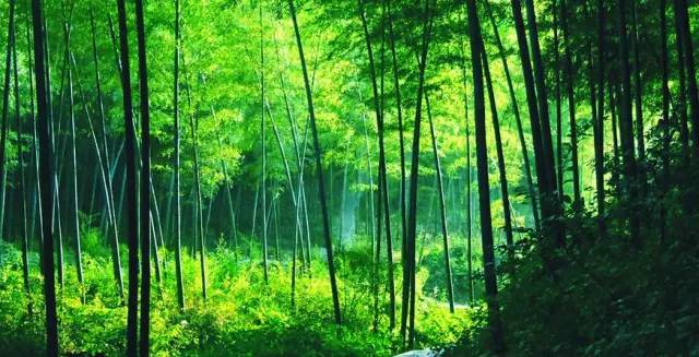 咏竹李贺,李贺咏竹诗有多少首