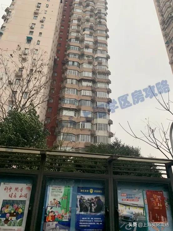 姚明的学校有多厉害,姚明学校怎么样