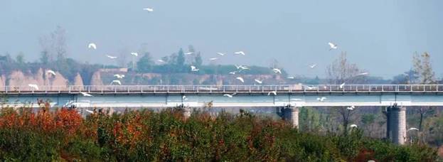 阎良石川河秋日美景,阎良最美石川河