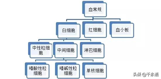 腹泻为什么要做血常规检查