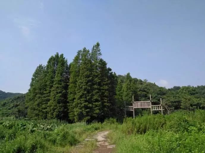 东钱湖徒步路线哪条最美,东钱湖附近有哪些免费古道