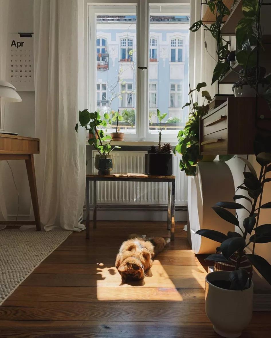 再来一杯冰拿铁,再来一杯冰咖啡