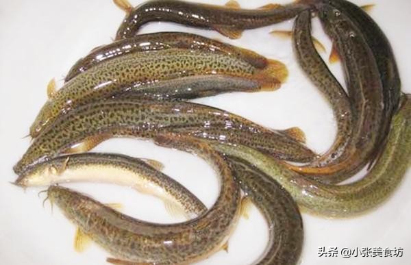 煮泥鳅要去表面粘液吗,泥鳅炖汤为什么要去粘液