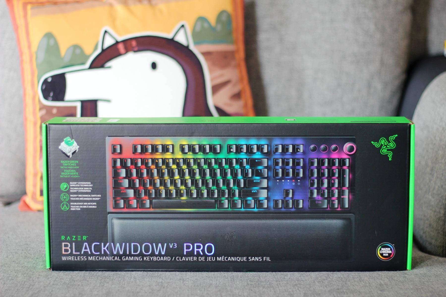 cherrymx3.0s键盘和雷蛇黑寡妇v3,键盘雷蛇黑寡妇v3