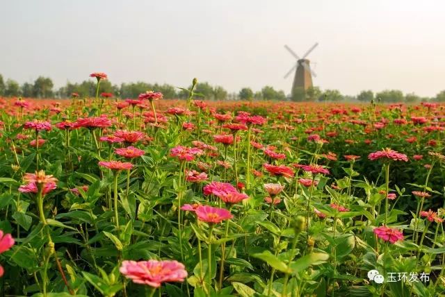 台州玉环港能坐船去台湾，你知道吗？浙江通往台湾唯一海上航线