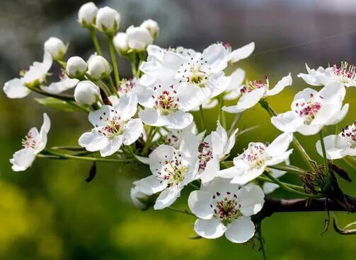 一段感情让你变得自卑又自负,因为自卑所以爱和伤害都是加倍的