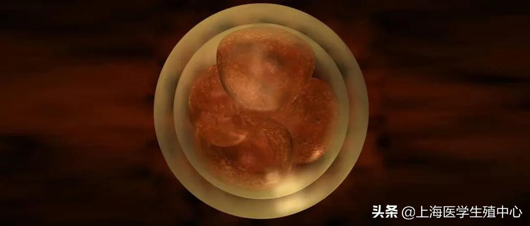 移植囊胚不容易宫外孕,移植胚胎级别不好容易胎停吗