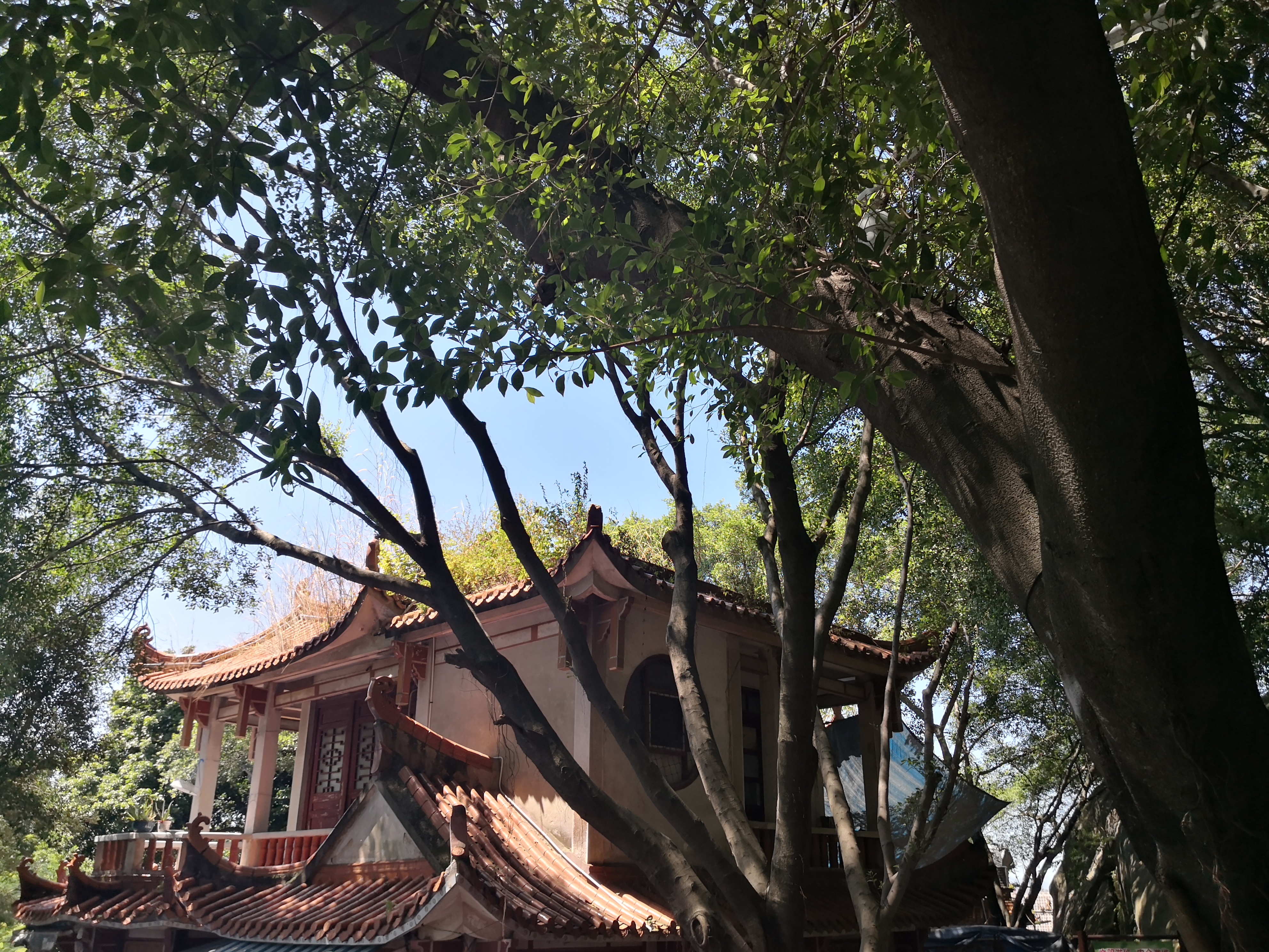 云洞岩鹤鸣楼,云洞岩鹤室介绍