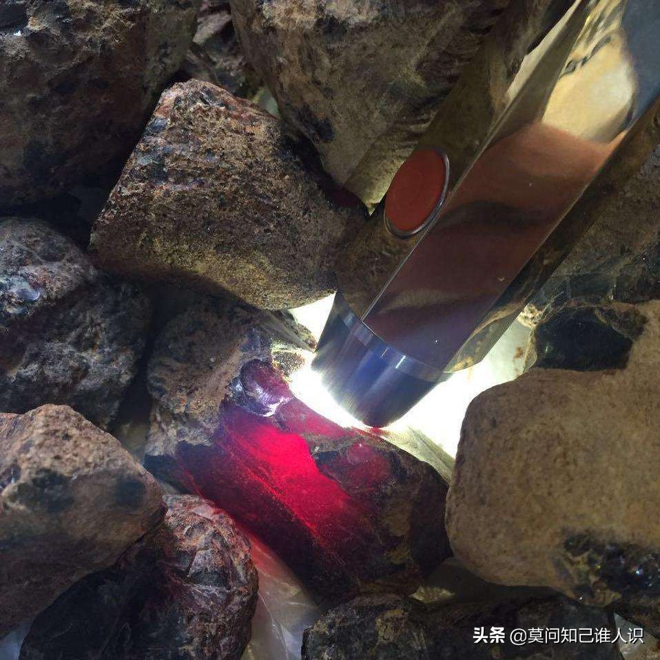 红*诱色**惑之血珀篇