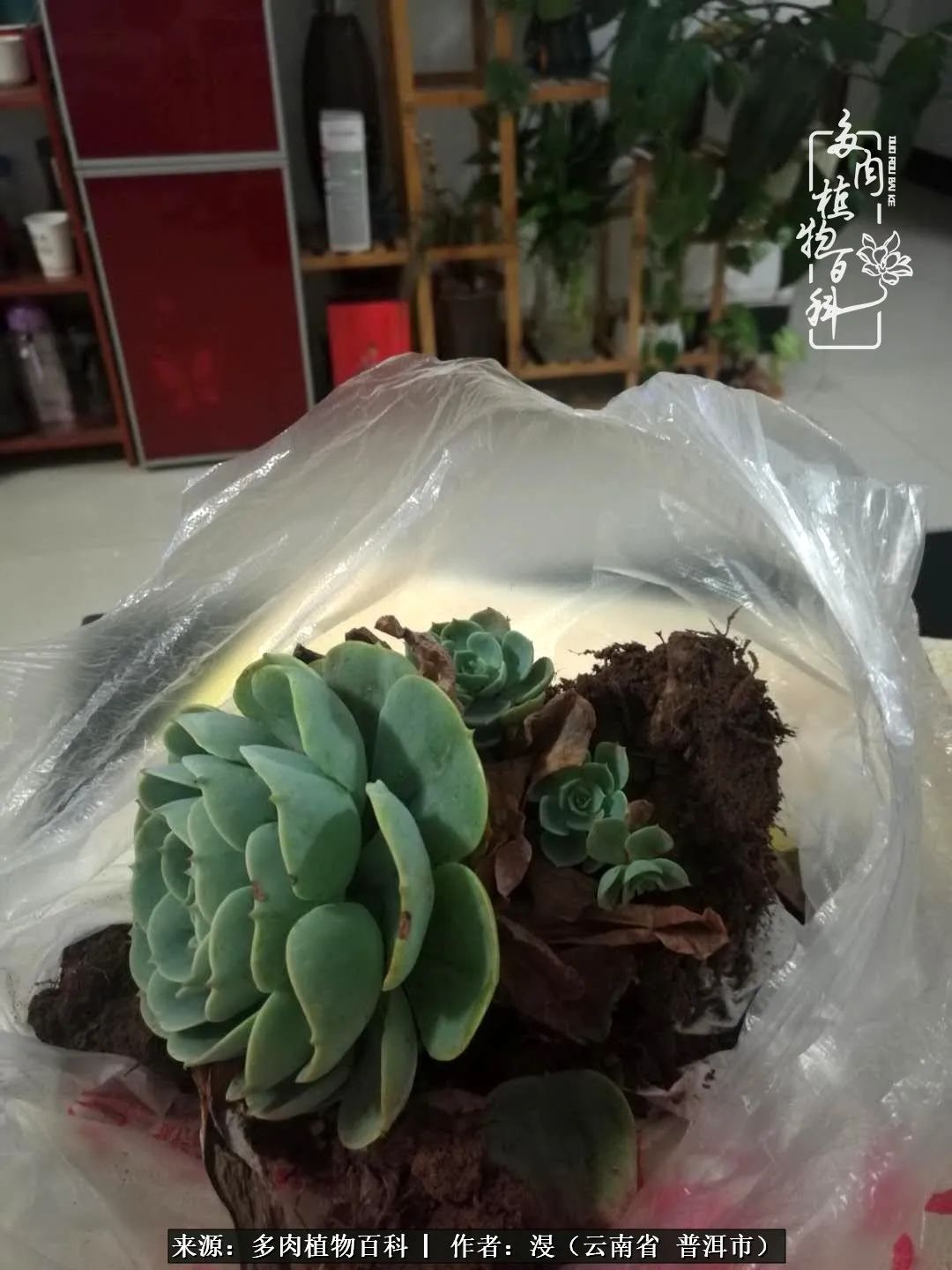 风过留痕讲的啥,风过留痕朗诵