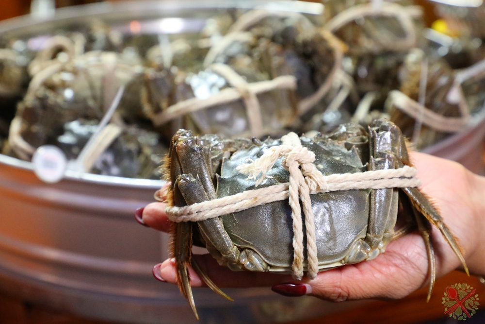 圣诞节就要这样过！在意式小镇边走边吃买不停