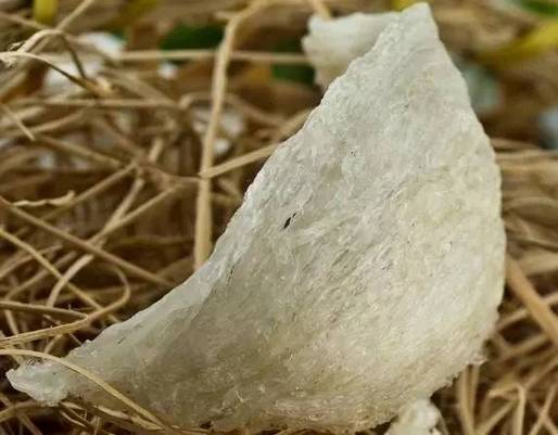 关于食物的100条谣言别再上当,骗人的食物