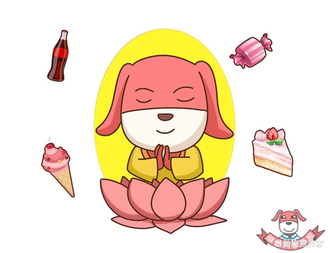 0脂肪0热量代餐零食零糖,0糖0脂肪健康代餐