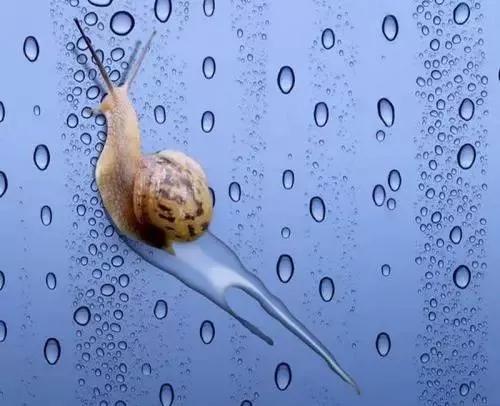 智美蜗牛面膜质量怎么样,水传智美调理面膜