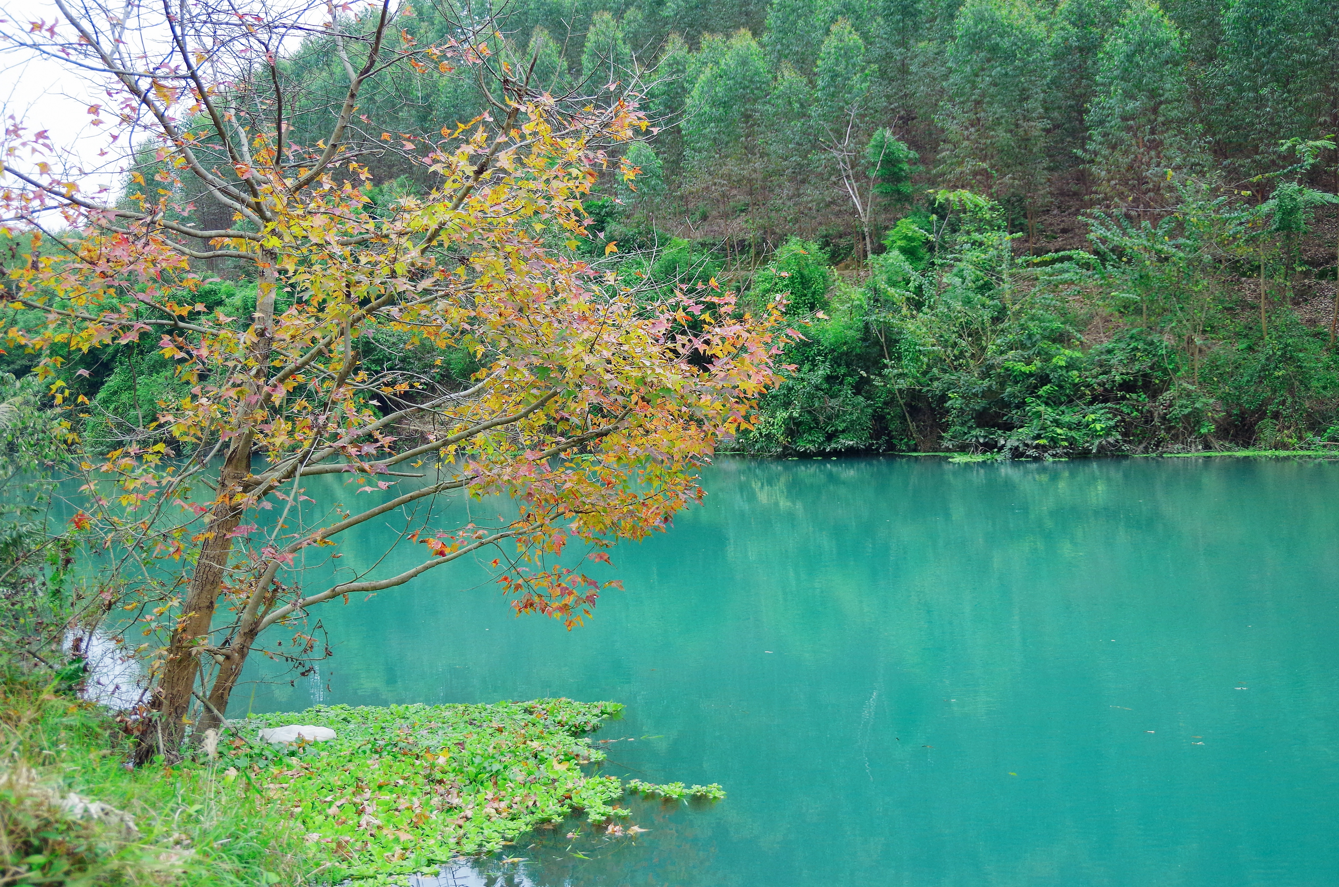 柳州鹿鸣山小七孔,柳州自驾小七孔旅游攻略