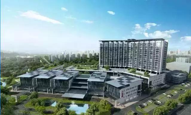 大局已定完整版视频,大局已定静待时机