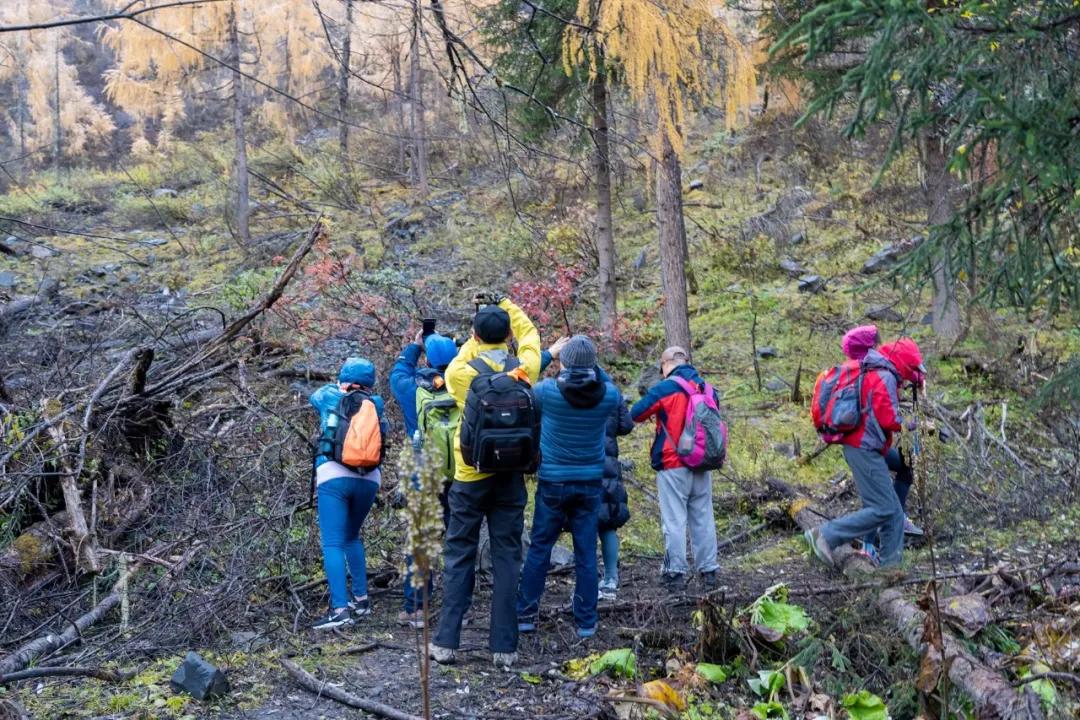 绫充簹缃楅湼鐜嬪北鏃呮父瑙嗛,绫充簹缃楅湼鐜嬪北鍏ㄦ櫙