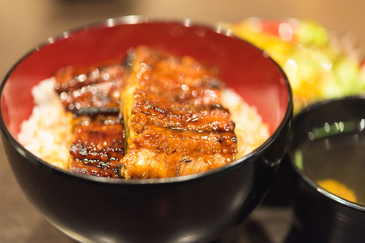 超级好吃的鳗鱼你们喜欢吃吗,最好吃的10种鳗鱼