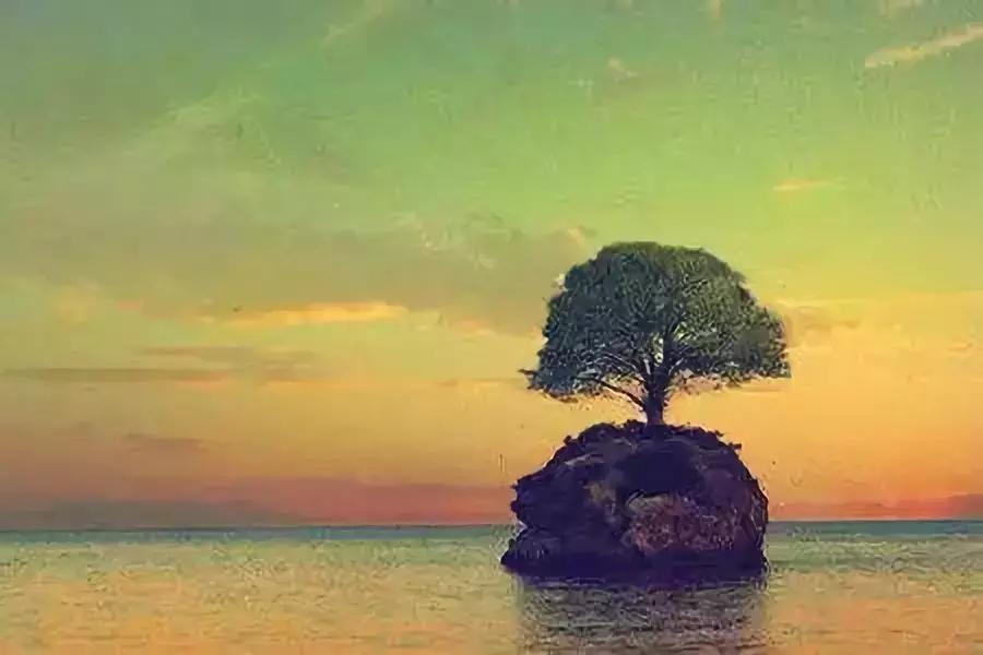 夜读《坛经》不知晓——《禅是纯生命》第二篇之十四