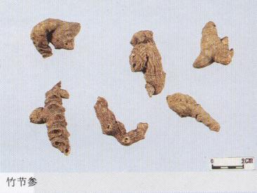 教你怎么辨别真假三七粉,真假三七粉教你三招