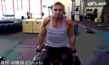 一副哑铃一个星期健身训练表,足不出户哑铃