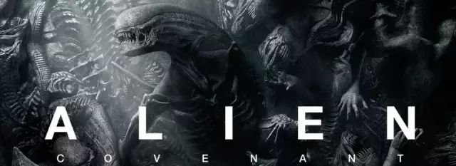 异形契约几分钟看完,异形契约看完后在看什么