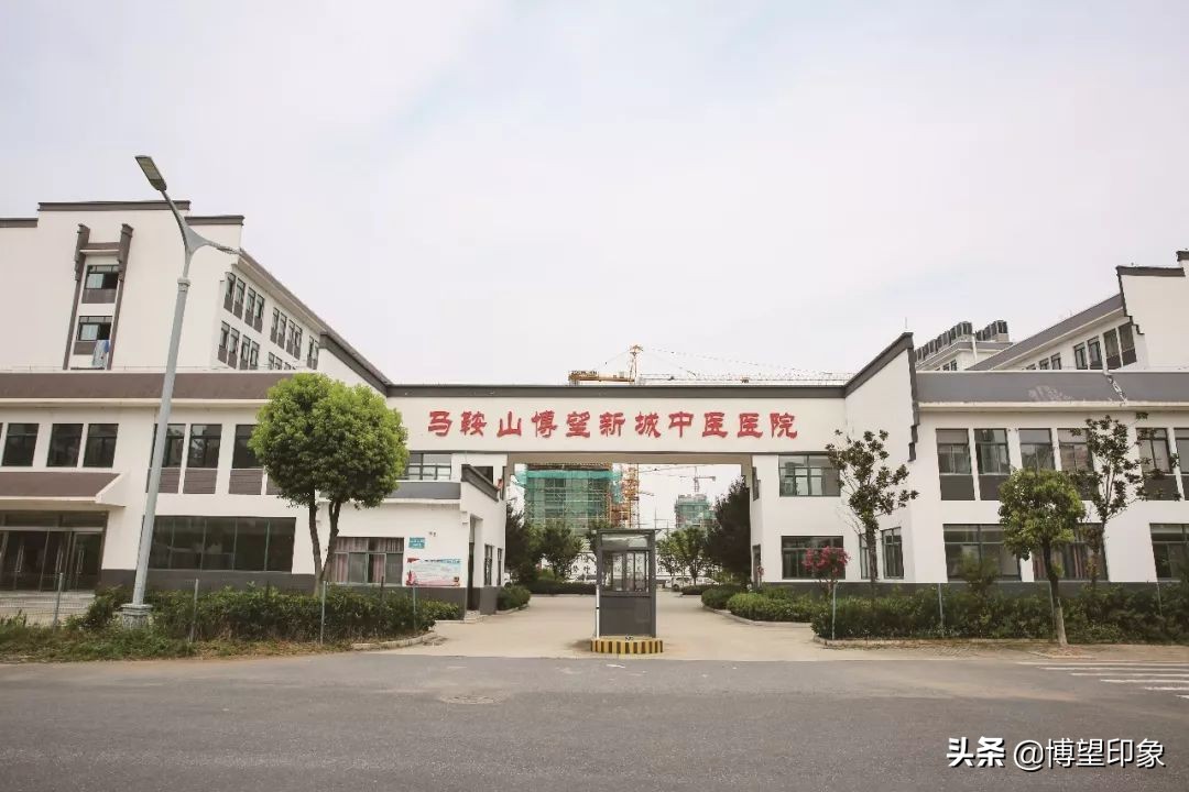 方城县博望镇重大项目,博望区新市镇今年有哪些工程项目