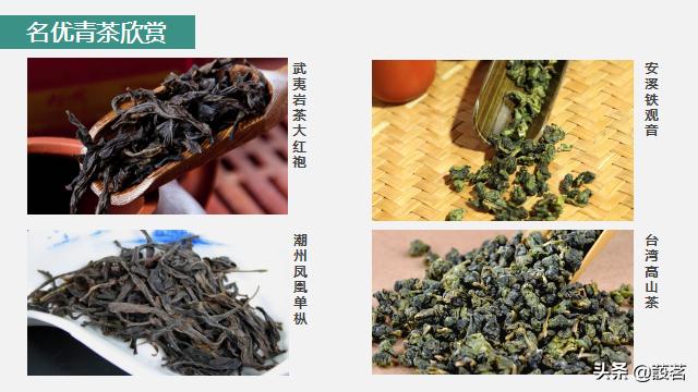 茶叶知识零基础入门手册书电子版,茶叶基础知识讲解课件视频