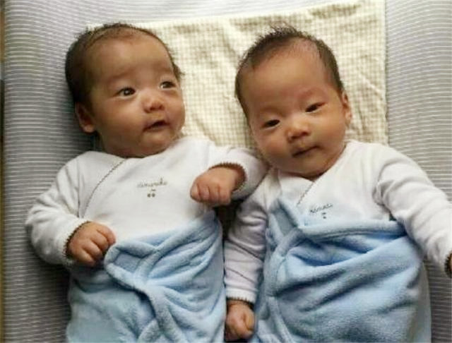 双胞胎被查出“同母不同父”，亲子鉴定师：这概率比中彩票还低