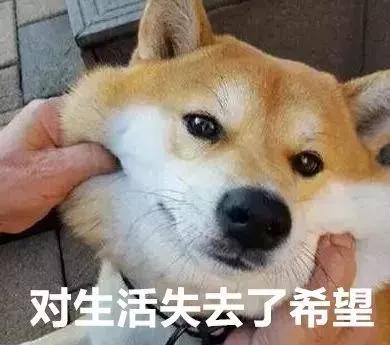 35000的香奈儿衣服清洗掉色,35000买的香奈儿掉色