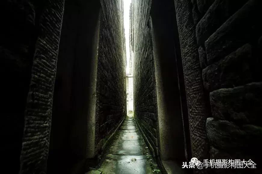 手机拍秋天摄影,记录秋天里的美好手机摄影