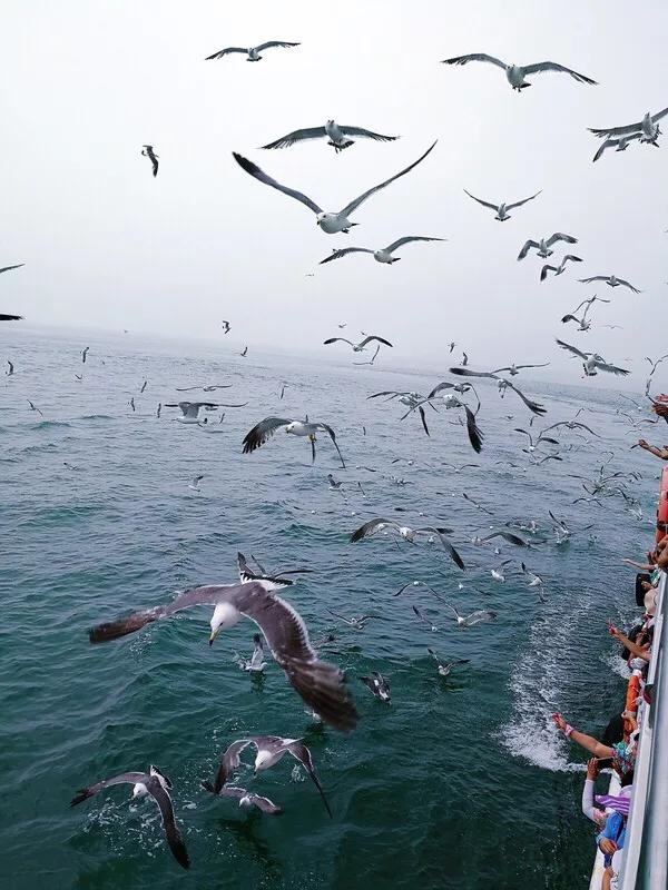 山东长岛自驾游,山东省长岛自驾游攻略