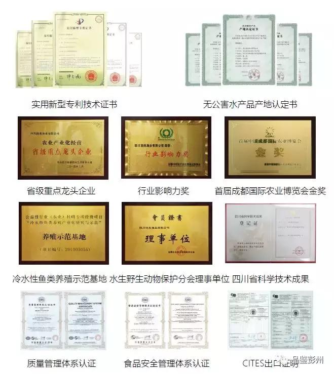 珍贵的鲟鱼子酱,顶级的鲟鱼子酱