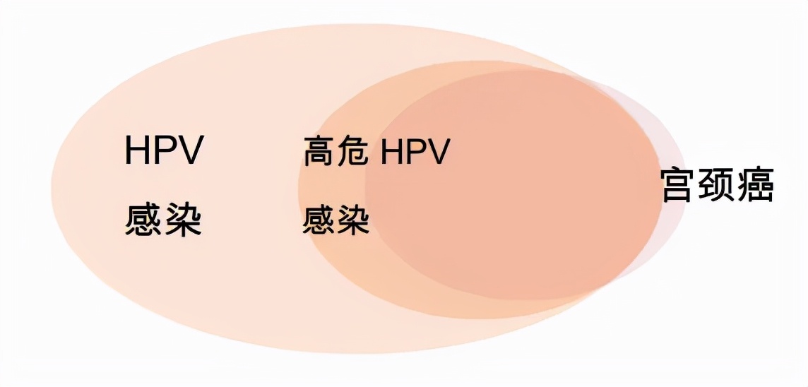 男性接种hpv疫苗有哪些具体的好处,男性是否有必要接种hpv疫苗
