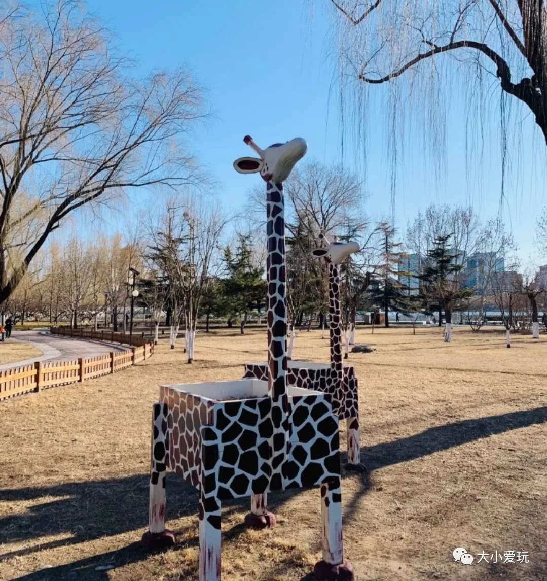 北京适合踏春旅游景点,北京春天看花的景点推荐