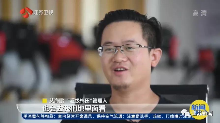 棉田种植方式,两个人挑战3000亩新疆棉田