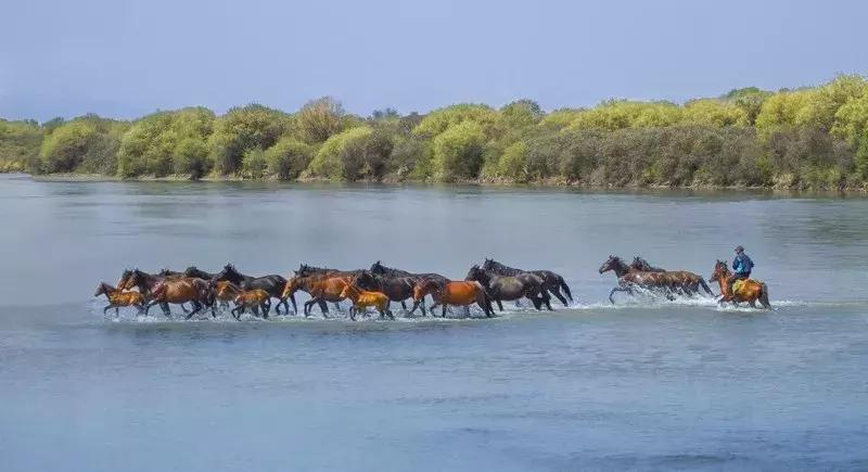 这就是昭苏，万物复苏的地方