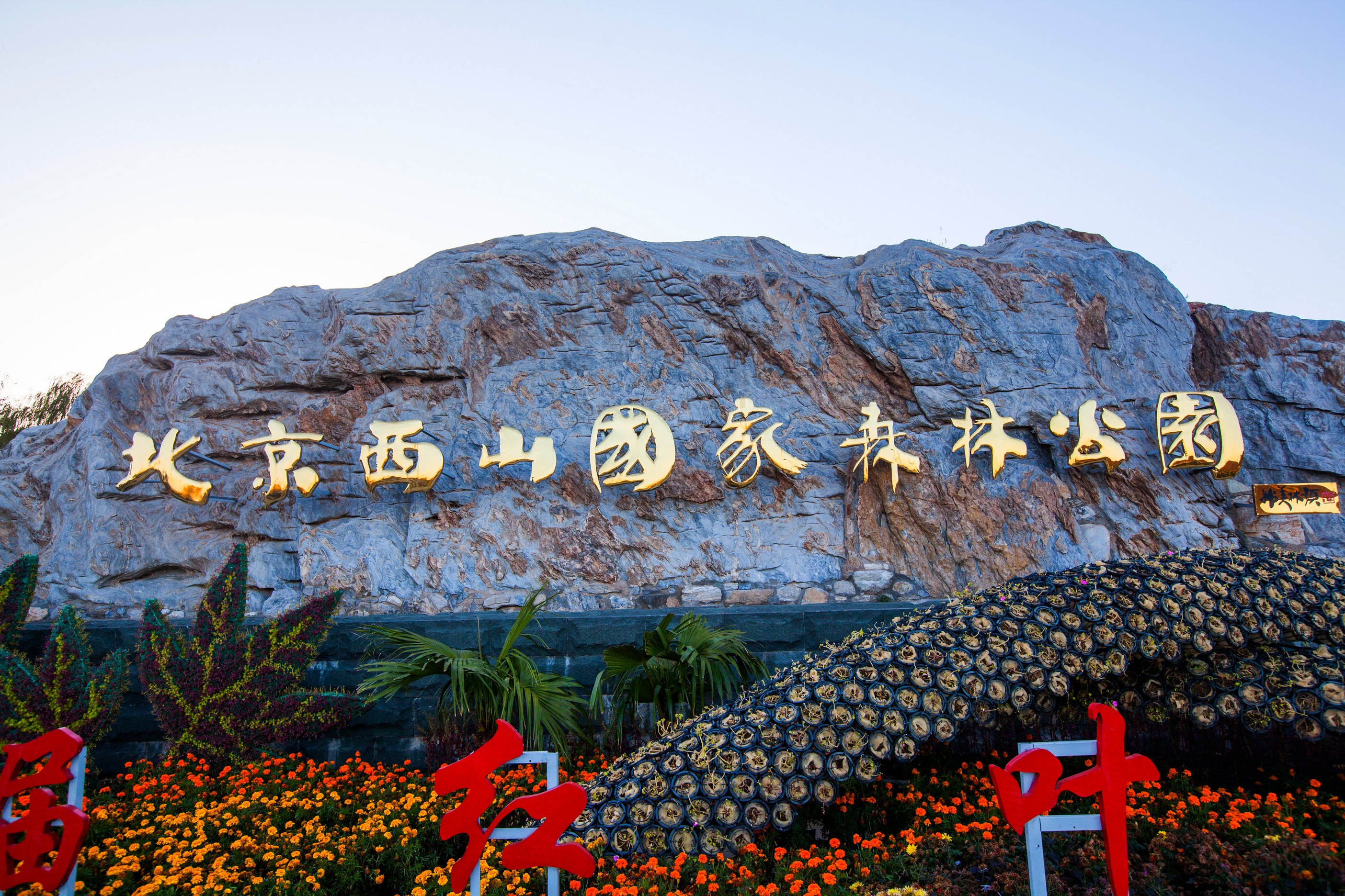 北京西山国家森林公园满满的禅意,深秋的北京西山国家森林公园