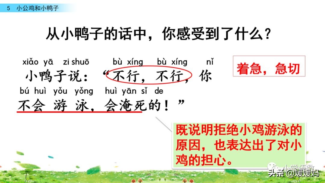 一年级小公鸡和小鸭子仿写句子,一年级小公鸡和小鸭子的看图写话