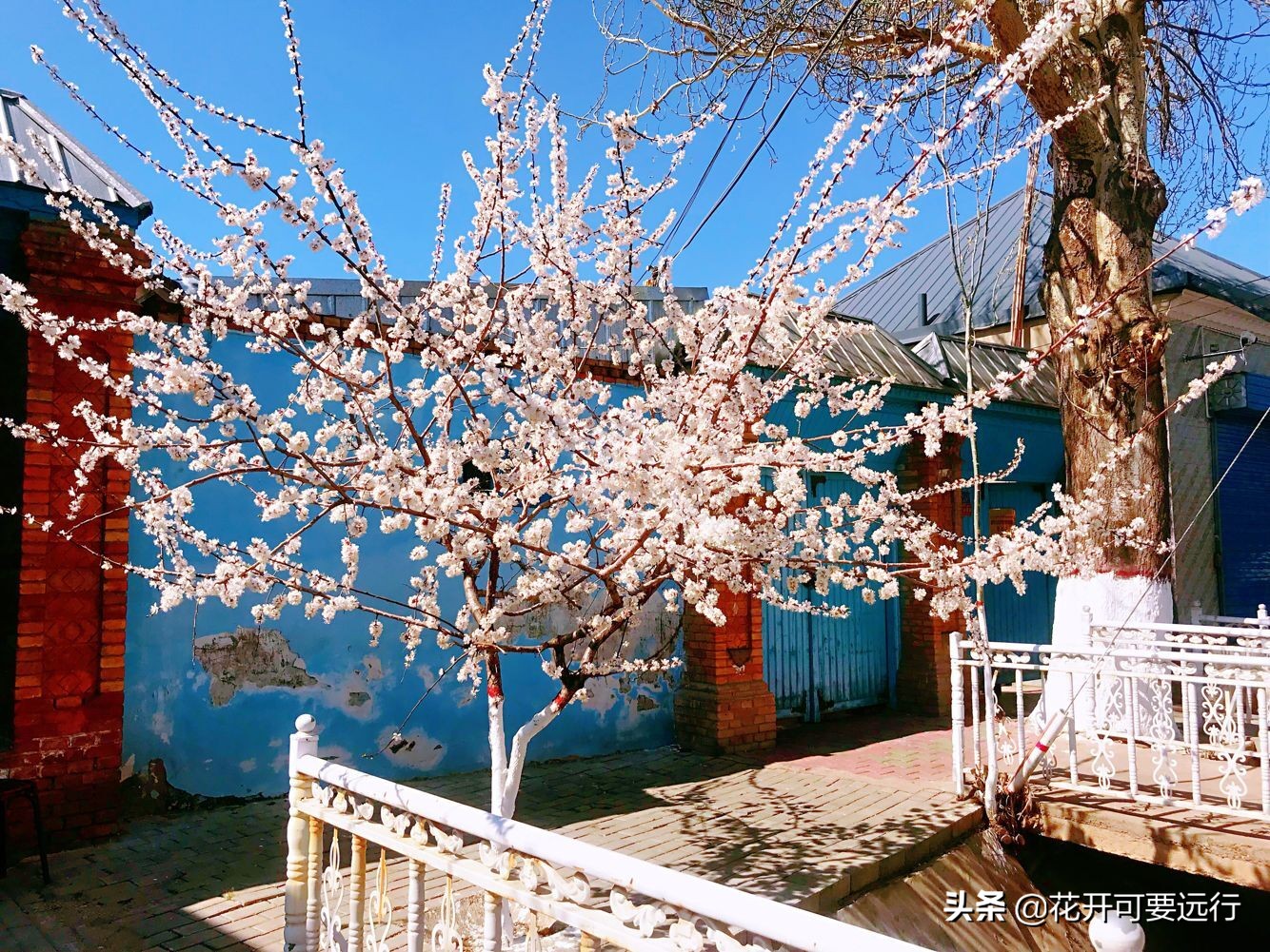 伊犁美景喀赞其,伊犁老城喀赞其体验异域风情感受