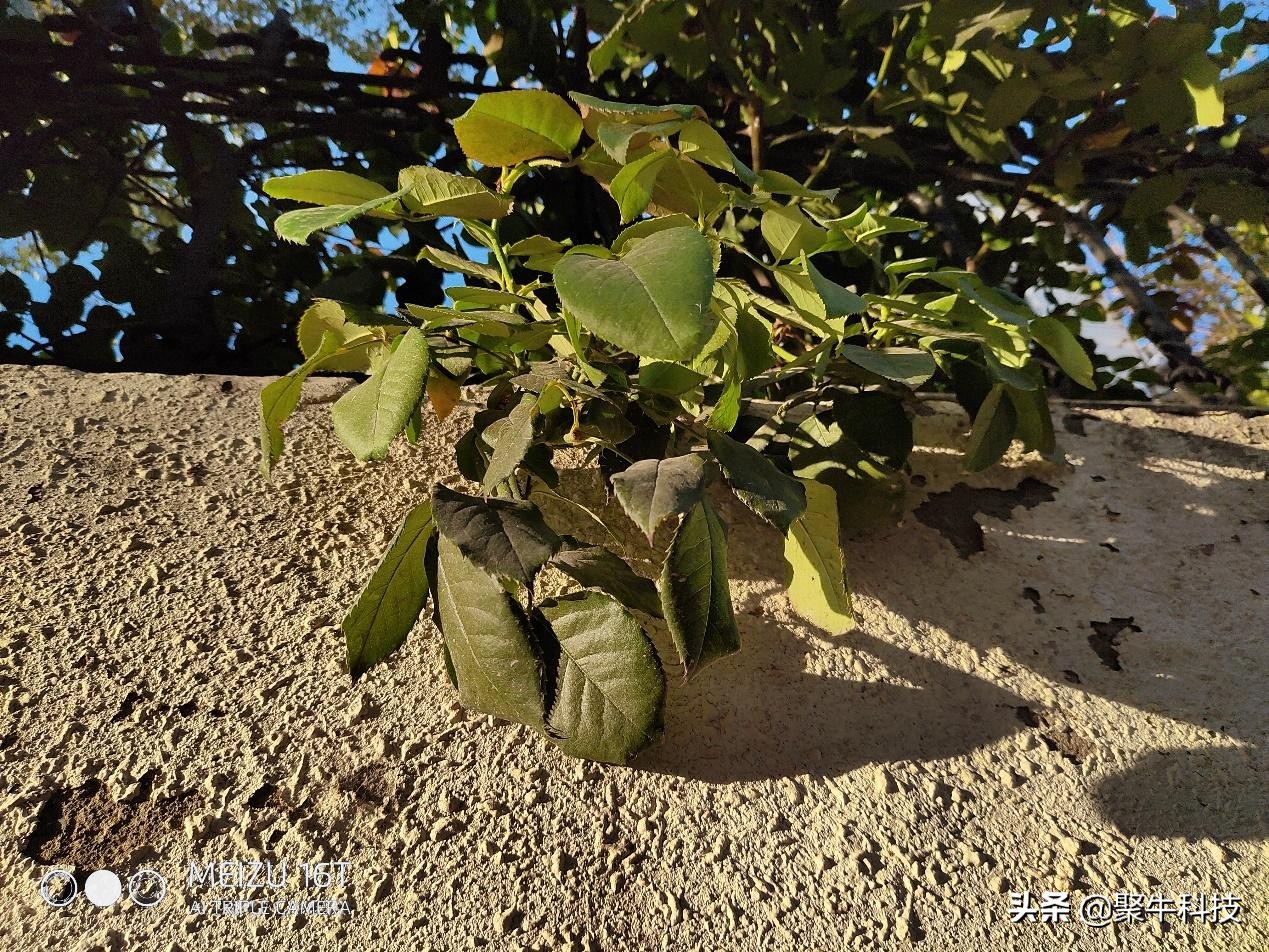 用大屏玩游戏,用中控屏玩游戏