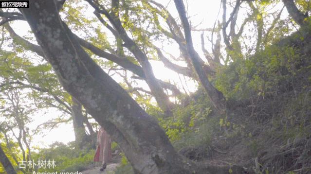 爱上福州的101个理由,爱上福建的理由