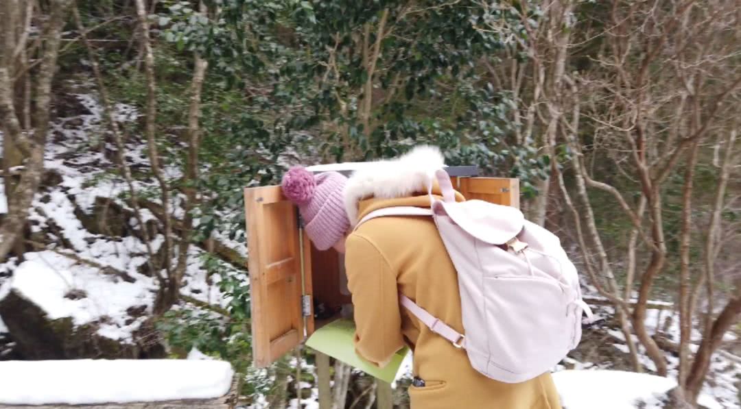 冬天去北海道可以玩什么,7月份的北海道有什么可以玩的