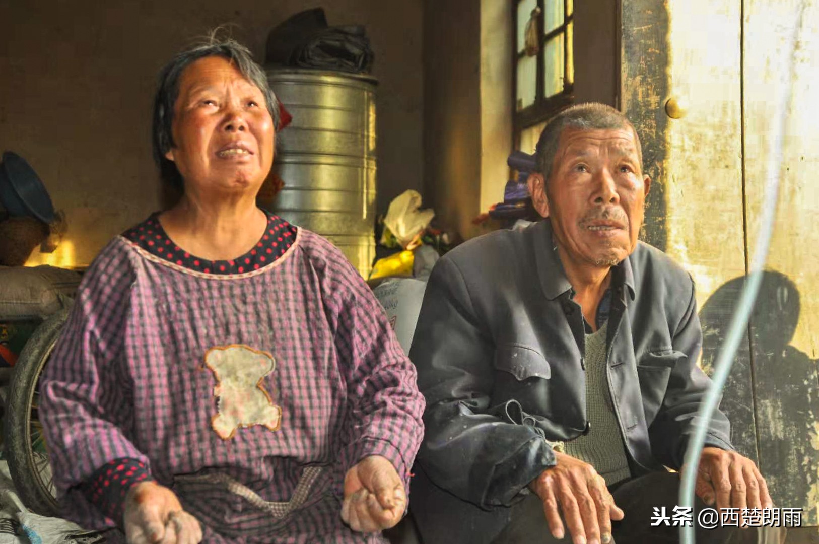 75岁老人双手磨破捉虫想“救”血癌孙，儿子泪拒：吃了会害了孩子