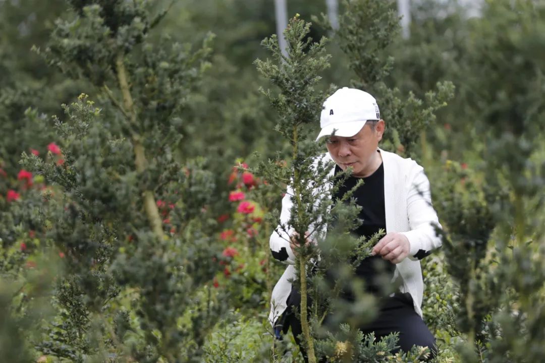 黄金宝三生,洪金宝洪福齐天