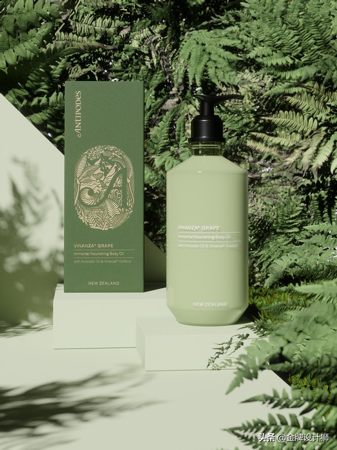 包装ai设计样板,包装设计ai素材