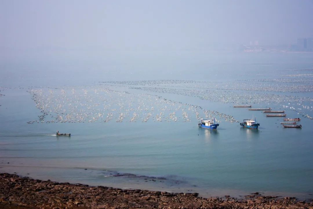 旅行种草,垦丁必打卡景点