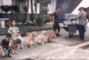 汪星人真实的秘密,汪星人的惊人秘密