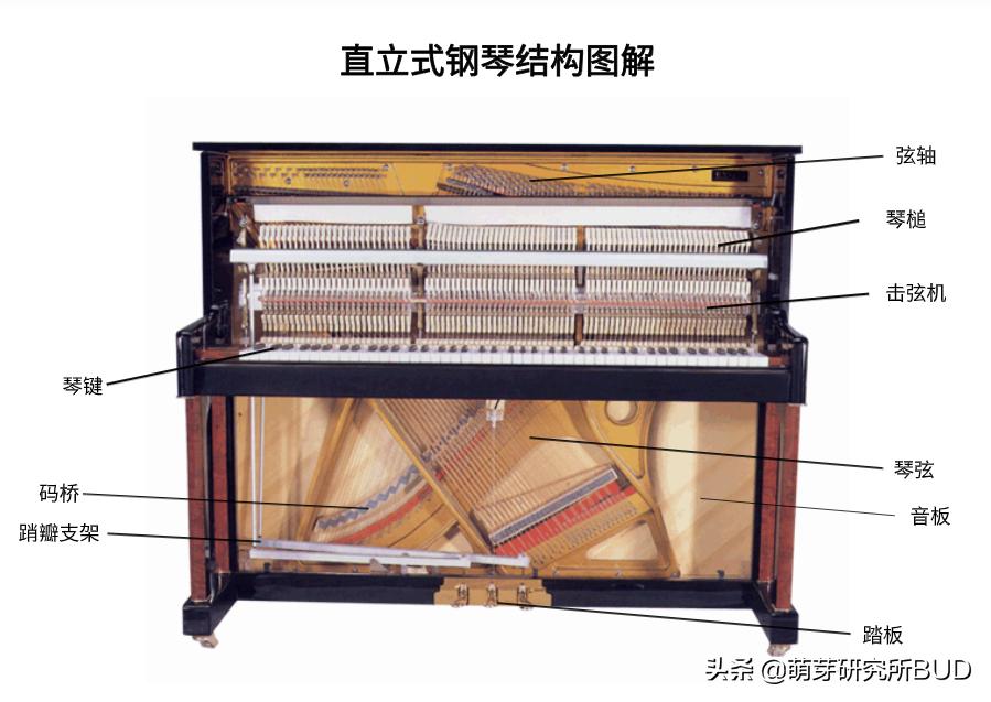 怎样挑选一架钢琴,钢琴入门如何挑选比较好的品牌