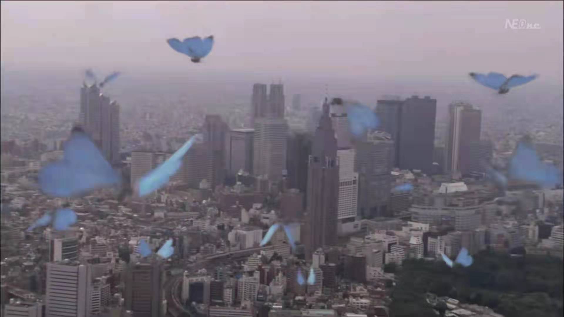 假面骑士555消失的天堂剧场版全集,假面骑士555天堂回归免费看